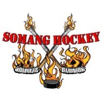 Somang Hockey logo - Similar company to Annenberg Property Group