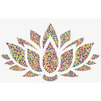 LOTUS COOLOTHING logo - Similar company to Frediit Store