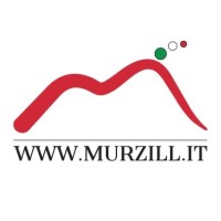 Murzill.it logo - Similar company to Secure Power Solutions