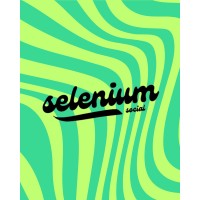Selenium Social logo - Similar company to Studio Rora