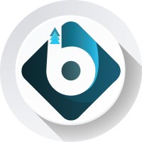 Bams Technologies Private Limited logo - Similar company to Versa Forge