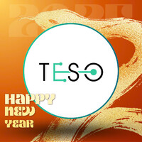 TESO logo - Similar company to Teso L.L.C.