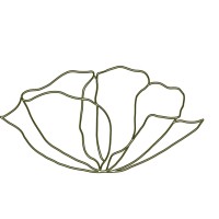 NECTAR logo - Similar company to Neive Tierney Design