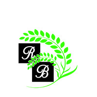R.B INTERNATIONAL logo - Similar company to Rb International