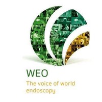 WEO World Endoscopy Organization logo - Similar company to American Society For Gastrointestinal Endoscopy (Asge)