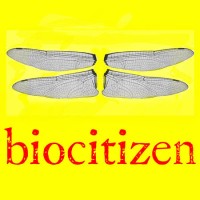 Biocitizen logo - Similar company to Windjammer Hospitality Group
