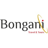 Bongani Travel and Tours logo - Similar company to Sky Travel