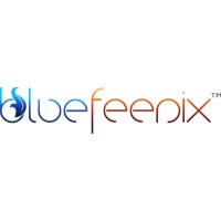 Blue Feenix logo - email format related to FREDDY D'ANGELO STUDIOS