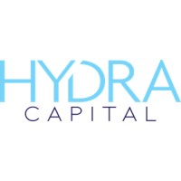 Hydra Capital logo - Similar company to Tabard Capital Solutions