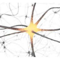 FreeMind SA logo - Similar company to Solid Portfolio