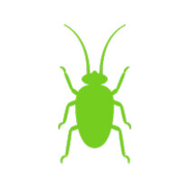 BUG, Creative Industry Network logo - Similar company to Wild Studio