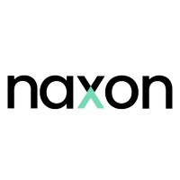 naxon logo - Similar company to Naxon Solutions