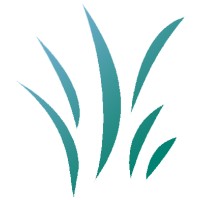 Nexecon Consulting Group logo - Similar company to Now Boarding Digital