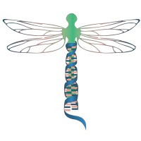 Immunitas Consulting, Llc