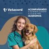 VETACORD COMERCIAL S.A logo - Similar company to Paul Laboratorio