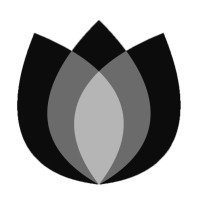 Black Tulip Recruitment  & HR Consulting logo - Similar company to Florist Xpress