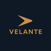 Velante Advisory Group logo - Similar company to Laamp