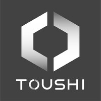 Toushi Group logo - Similar company to Luk Advisor