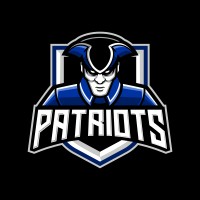 Toronto Patriots Jr. A Hockey Club logo - Similar company to Sumi Foundation