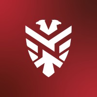 Grupo Netseg logo - Similar company to Globalsecurity.Org