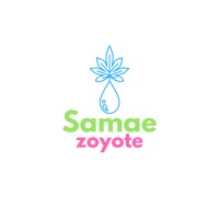 Samaezoyote logo - Similar company to Startvest