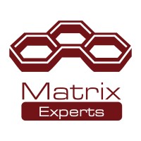 Matrix Experts logo - Similar company to Cyber Space