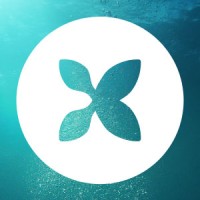 Turrit Consulting