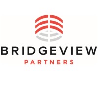 BridgeView Partners logo - Similar company to Tech Impact