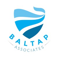 Baltap Associates ApS logo - Similar company to Fdi Group Falcon Dynamic Systems