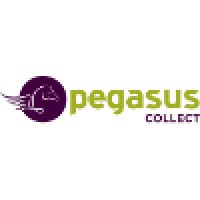 Pegasus International Consultants