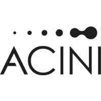 Acini logo - Similar company to Sollers Consulting