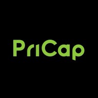 Primea Capital logo - Similar company to Beyondcfo