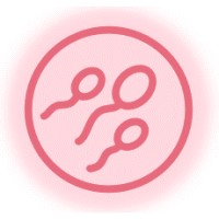 Joko Game Studio logo - Similar company to Mobinland