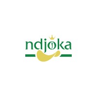 ndjoka logo - Similar company to Jet Molecule