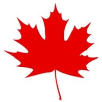 Maple Nexus logo - Similar company to O'Connor Capital