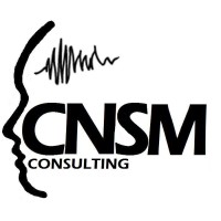 CNSM Consulting logo - Similar company to Cnsme Pump