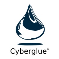 Cyberglue Software logo - Similar company to Iq Hive