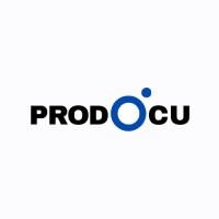 Prodocu Consulting logo - Similar company to Qacehomes