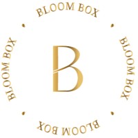 Bloom Box logo - Similar company to Datarain Consulting