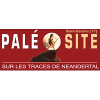 Paléosite logo - Similar company to Musée Ernest Cognacq