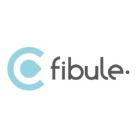 Fibule logo - Similar company to 2L Concept