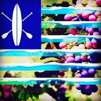 Napa Valley Paddle logo - Similar company to Flow State