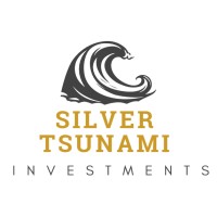 Silver Tsunami Investments logo - Similar company to Nurse Yard