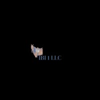 IBI 1 LLC logo - Similar company to Skillathon Technologies Pvt. Ltd.