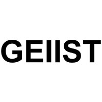 GEIIST logo - Similar company to Football Business Education