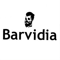 Barvidia logo - Similar company to Brushboo