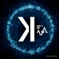 KeyMetriks Group logo - Similar company to Voy Driving