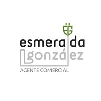 Esmeralda González - Agente Comercial logo - Similar company to Bara Dynamics, S.L.