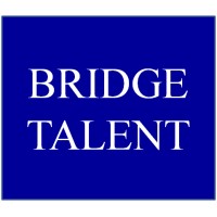 BridgeTalent logo - Similar company to Audley Consultants (Opc) Pvt.Ltd