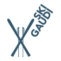 Skigaudi logo - Similar company to Wealthpilot